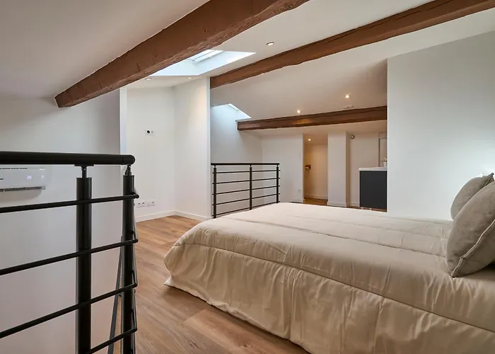 Le Rempart Scandinave - Triplex Au Pied De La Cite * カルカソンヌ